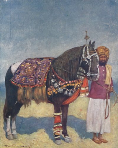 "En häst från Jodhpur", 1903 av Mortimer L Menpes