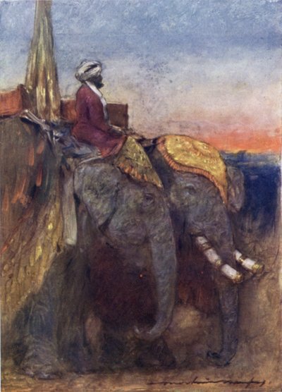 Jaipur elefanter (färg litho) av Mortimer Ludington Menpes