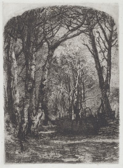 Woods [Bosco] av Mose Bianchi