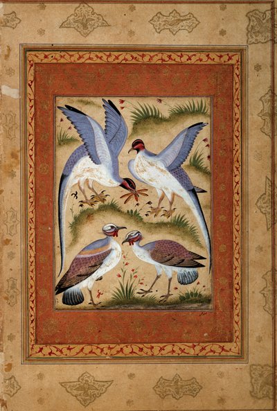 Fåglar. Miniatyr gouache från moghole skolan. 1590-1600. Paris, Guimet-museet, Nationalmuseet för asiatisk konst av Mughal School