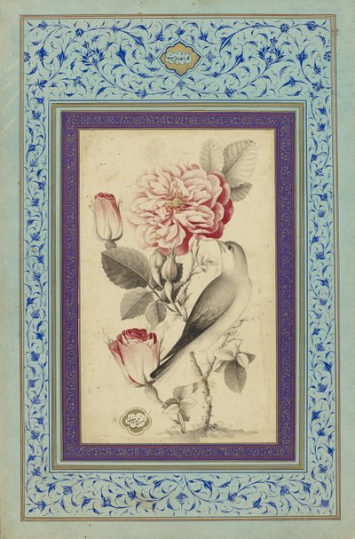 Rosor och näktergal, sent 1700-tal (bläck & färg på papper) av Muhammad Baqir