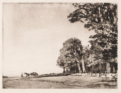 Hampstead Heath av Muirhead Bone