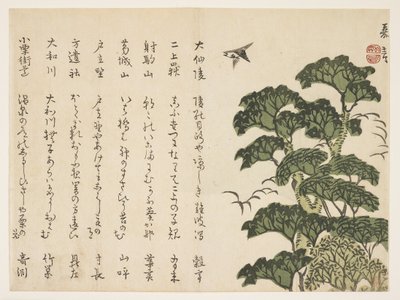 Stort träd och fåglar, ca 1830-44 (träblock i färg) av Murata Kagen