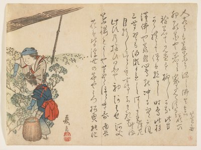 Teplockare, ca 1830-44 (träblock i färg) av Murata Kagen