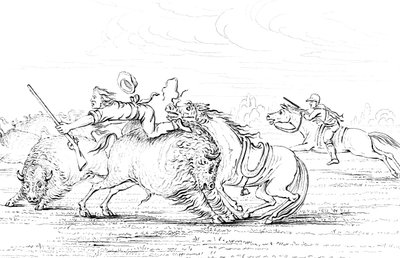 Buffalo attackerar en cowboy på en häst, 1841. av Myers and Co