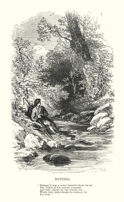 William Wordsworth: Nutting (gravyr) av Myles Birket (after) Foster