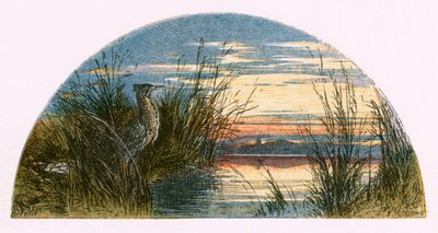Illustration för 