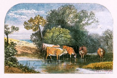 Illustration för "Den öde byn" av Myles Birket Foster