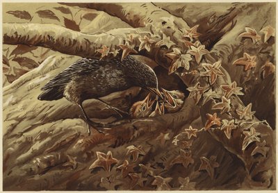 En bullrig barnkammare (litho) av N. Parker