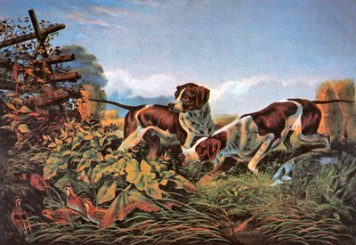 American Field Sports: On a Point av Currier and Ives