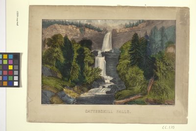 Catterskill Falls (handfärgad litografi) av N. and Ives J.M. (1824 95) Currier