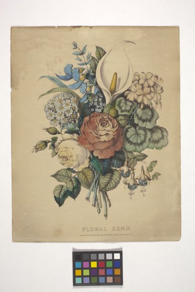 Blommiga ädelstenar (handfärgad litografi) av N. and Ives J.M. (1824 95) Currier