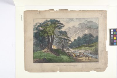 Die Zedern des Libanon von N. and Ives J.M. (1824-95) Currier