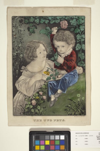 De två husdjuren (handfärgad litografi) av N. and Ives J.M. (1824 95) Currier