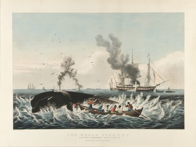 The Whale Fishery: Att attackera en kaskelot....och "cutting in" (färglitografi) av Currier and Ives