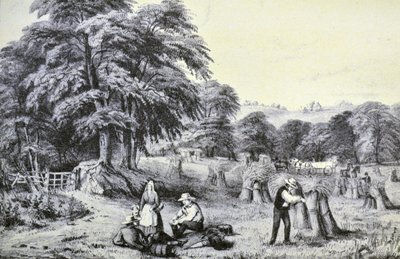 Currier & Ives Illustration 1800-talet. Skörda av N. and Ives, J.M. Currier