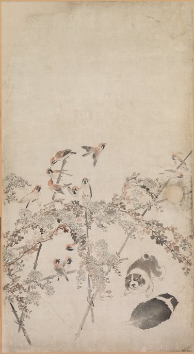 Valpar, sparvar och krysantemum, 1754-1799. av Nagasawa Rosetsu