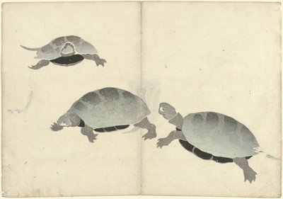 Tre sköldpaddor Bildalbum av Korin (serietitel) Korin gafu (serietitel) av Nakamura Hochu