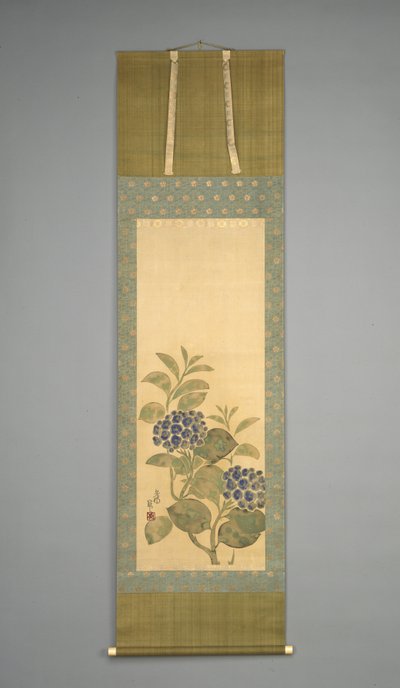 Hortensia, tidigt 1800-tal (bläck och akvarell på papper) av Nakamura Hochu