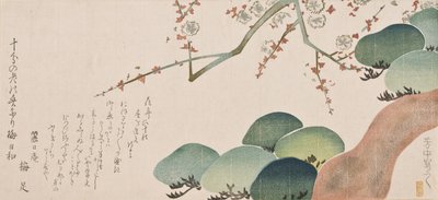Tall och plommonblomma, 1810-30 (färgtryck) av Nakamura Hochu