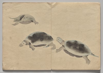 Scen från The Kōrin Picture Book (volym 2) av Nakamura Hochu