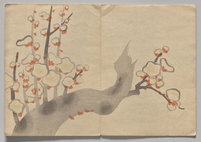 Scen från The Kōrin Picture Book (volym 2) av Nakamura Hochu