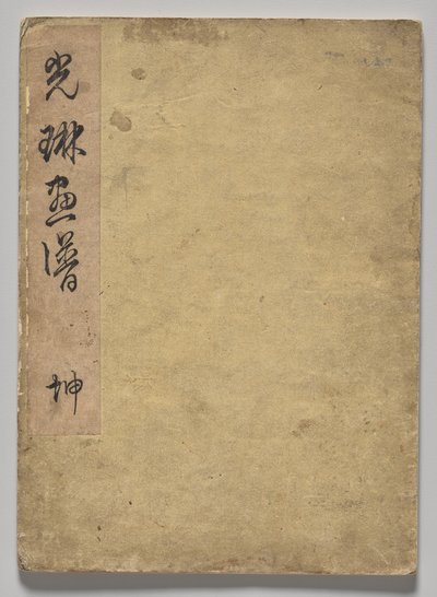The Kōrin Picture Book (Volym 1) av Nakamura Hochu