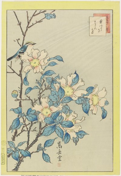 Blå fågel och rosa blommor, 1859 (träblock i färg) av Nakayama Sugakudo
