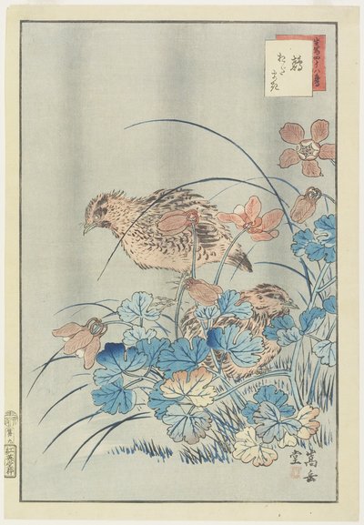 Two Quails in Bush, 1859 (träblock i färg) av Nakayama Sugakudo