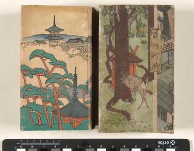Vandring genom Kinai-regionen Kinai Angya (titel på objekt) av Nakazawa Hiromitsu