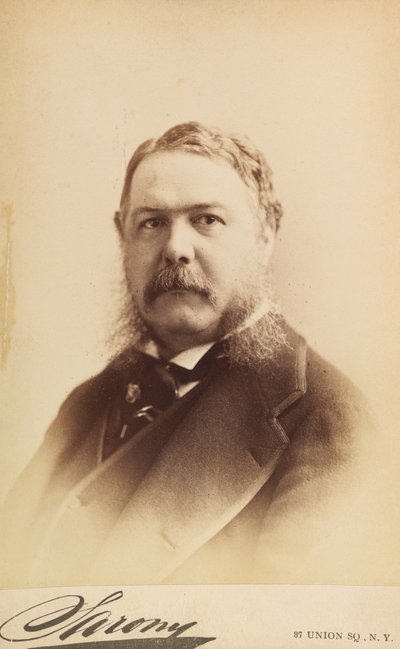 Chester Alan Arthur av Napoleon Sarony