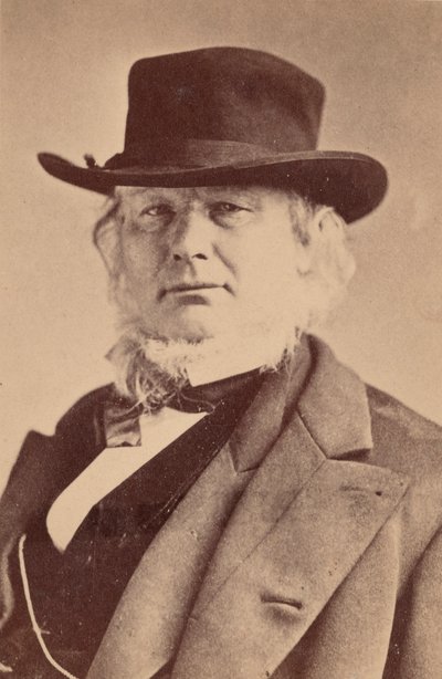 Porträtt av Horace Greeley 1811-1872, 1869. av Napoleon Sarony