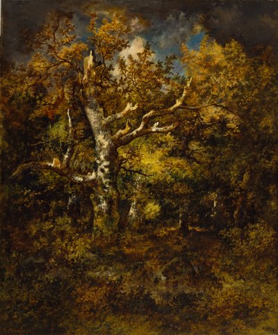 Fontainebleauskogen, höst av Narcisse Virgile Diaz de la Peña