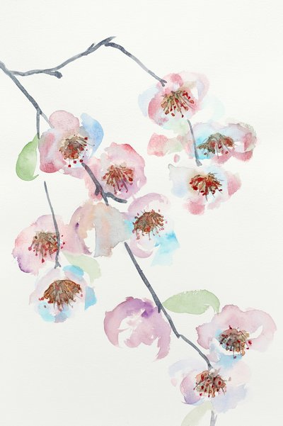 Ömtåliga rosa blommor av Natalie Bruns