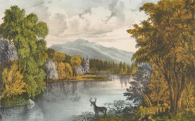 Moosehead Lake, Maine, 1857-72., 1857-72. Skapare: Nathaniel Currier, James Merritt Ives, Currier och Ives. av Currier and Ives