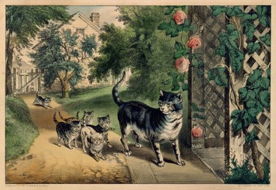 Pussys återkomst, 1874-78., 1874-78. Skapare: Nathaniel Currier, James Merritt Ives, Currier och Ives. av Currier and Ives
