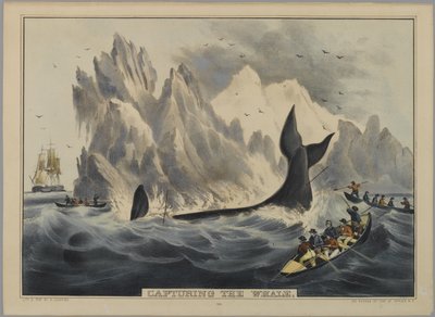 Att fånga valen (handfärgad litho) av Nathaniel Currier