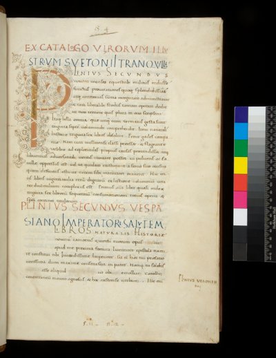 Ms 394.1. Plinius den äldre, Historia naturalis, f.1r. Upplyst initial [P] med dekor av vit vinstockar (oavslutad), Neapel, mitten av 1400-talet, ca 1442 (pergament) av Neapolitan School