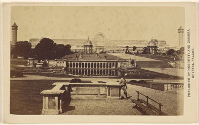 [Lång vy från utsidan av Crystal Palace-byggnaden och området] av Negretti and Zambra