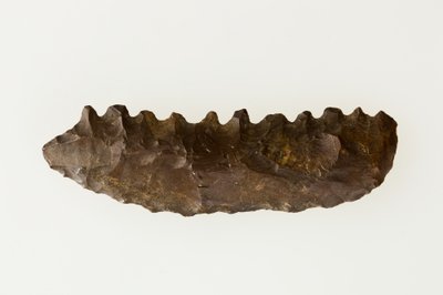 Bifacial skära, c.4500–4000 f.Kr. (flinta) av Neolithic Neolithic