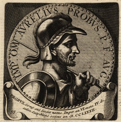 Porträtt av den romerske kejsaren Probus. av Netherlandish School