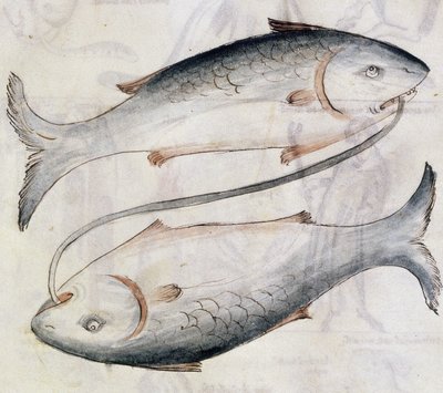Sloane 3983 Drawing of Pisces, från en översättning av en persisk astrologisk avhandling av Jafar ibn Muhammad (vellum) av Netherlandish School
