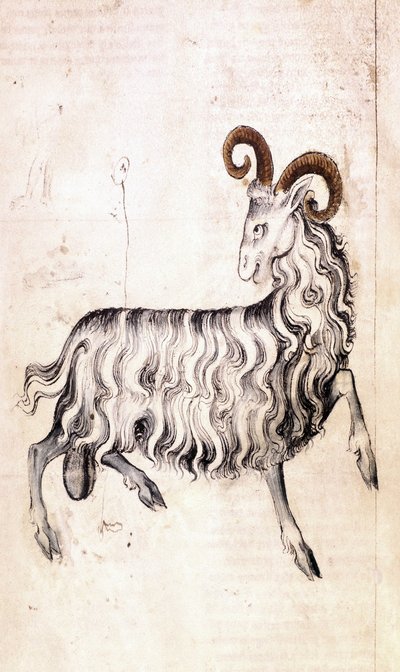 Sloane 3983 f3v Stjärntecknet Stenbocken (vellum) av Netherlandish School