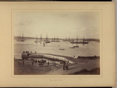 Krigsmannens trappor av New South Wales Government Printing Office