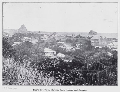 New Plymouth, Nya Zeeland: Fågelperspektiv, visa sockerlimpor och kloster (s/v foto) av New Zealand Photographer