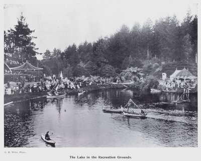 New Plymouth, Nya Zeeland: The Lake in the Recreation Grounds (s/v foto) av New Zealand Photographer