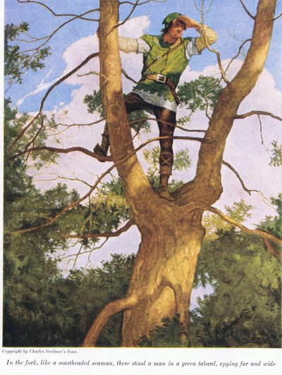 I gaffeln som en mastförsedd sjöman stod en man i en grön tabb och spanade vida omkring, 1916 av Newell Convers Wyeth