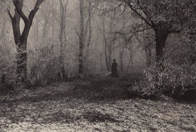I skogen i Wien (svartvitt foto) av Nichol Elliot