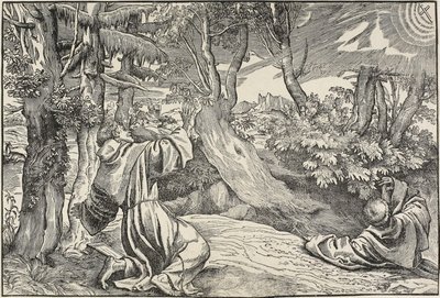 Saint Francis tar emot Stigmata av Nicolò Boldrini