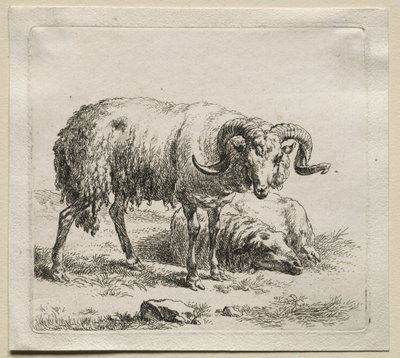 Animalia: bagge och får av Nicolaes Berchem